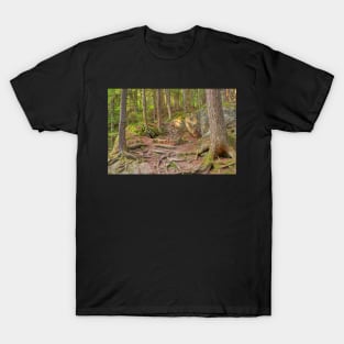 Green Mountain Forest Trail T-Shirt